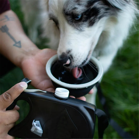 4-in-1 Retractable Dog Leash with Water Bottle & Bowl